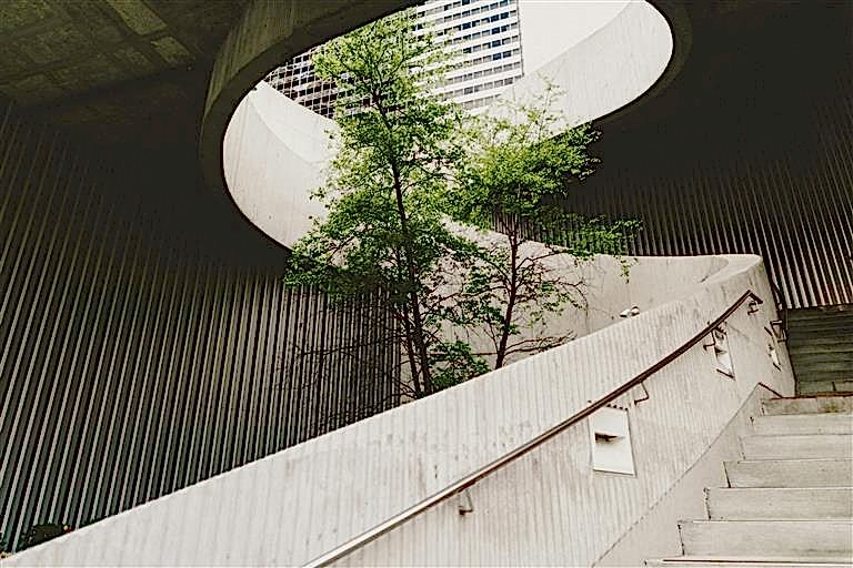 Sürdürülebilir ve Doğal Malzeme Kullanımı.